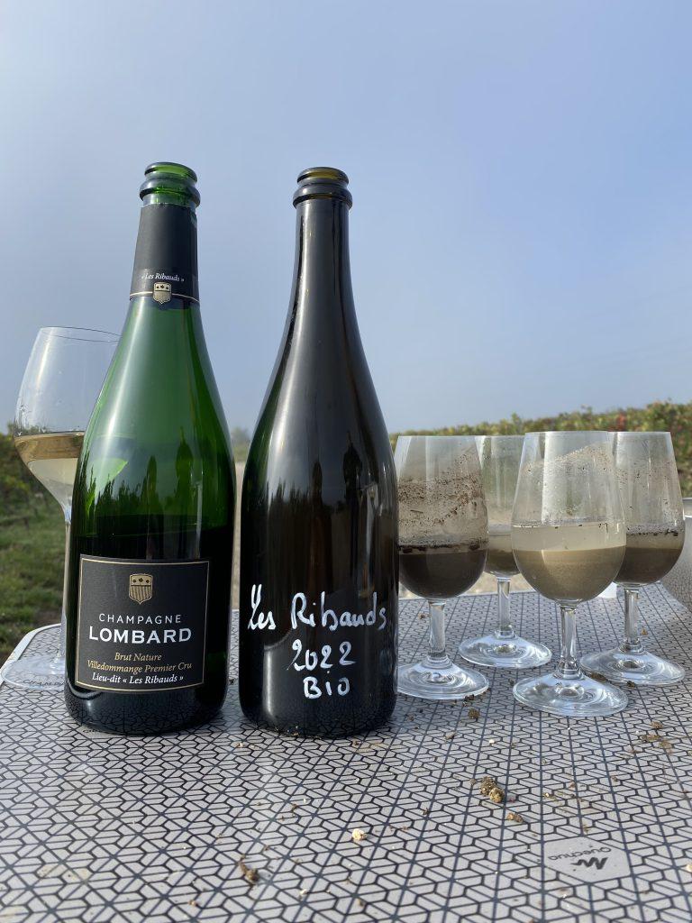 Reconnaissance terroir Geoffrey Orban - Champagne Lombard