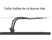 taille de la vigne Vallée de la Marne