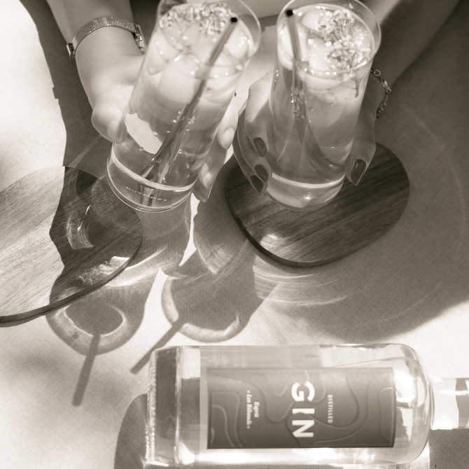 idée de cocktail distilled gin les ribauds et monin